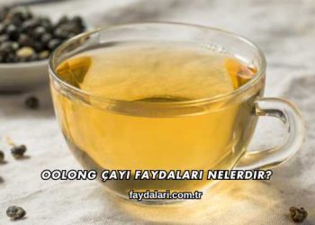 Oolong Çayı Faydaları Nelerdir?