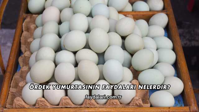 Ördek Yumurtasının Faydaları Nelerdir?