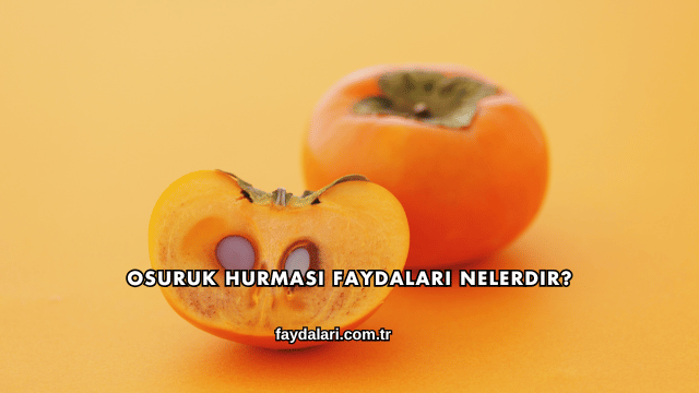 Osuruk Hurması Faydaları Nelerdir?