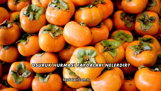 Osuruk Hurması Faydaları Nelerdir?