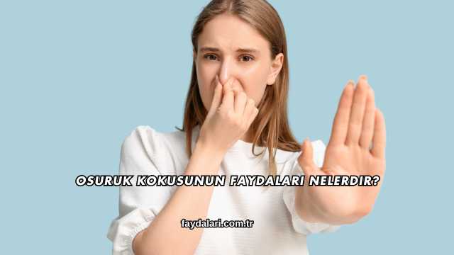 Osuruk Kokusunun Faydaları Nelerdir?