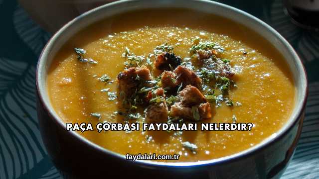 Paça Çorbası Faydaları Nelerdir?