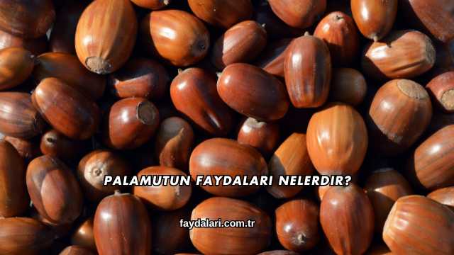 Palamutun Faydaları Nelerdir?