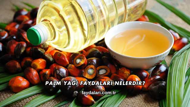 Palm Yağı Faydaları Nelerdir?