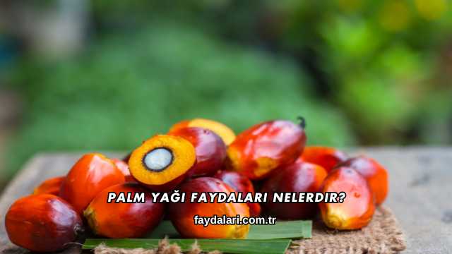 Palm Yağı Faydaları Nelerdir?