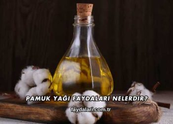 Pamuk Yağı Faydaları Nelerdir?