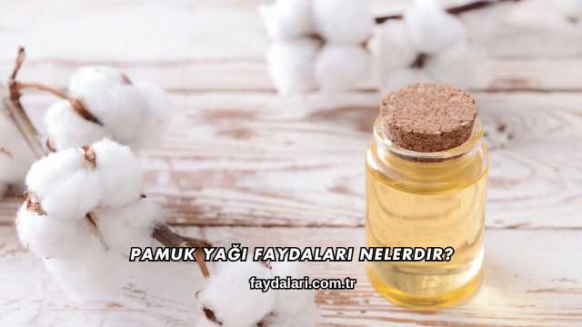 Pamuk Yağı Faydaları Nelerdir?