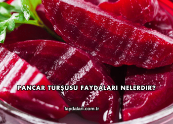Pancar Turşusu Faydaları Nelerdir?
