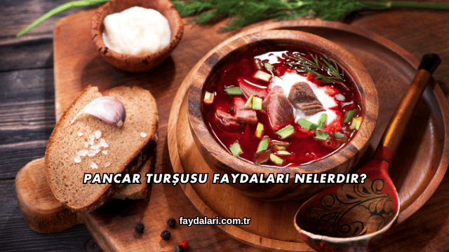 Pancar Turşusu Faydaları Nelerdir?