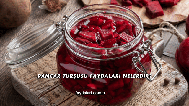 Pancar Turşusu Faydaları Nelerdir?