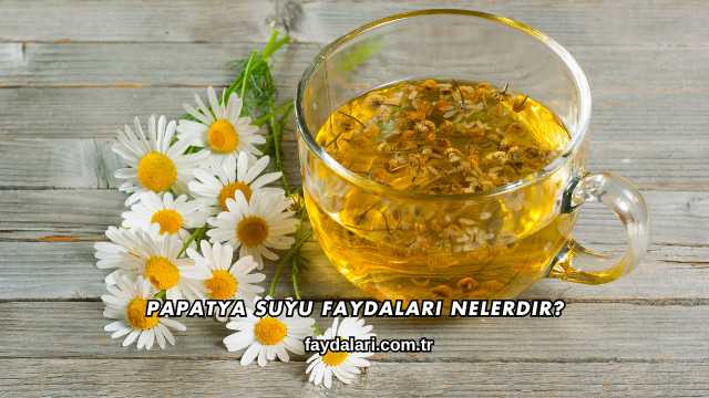 Papatya Suyu Faydaları Nelerdir?