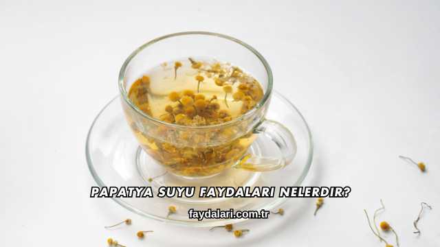 Papatya Suyu Faydaları Nelerdir?