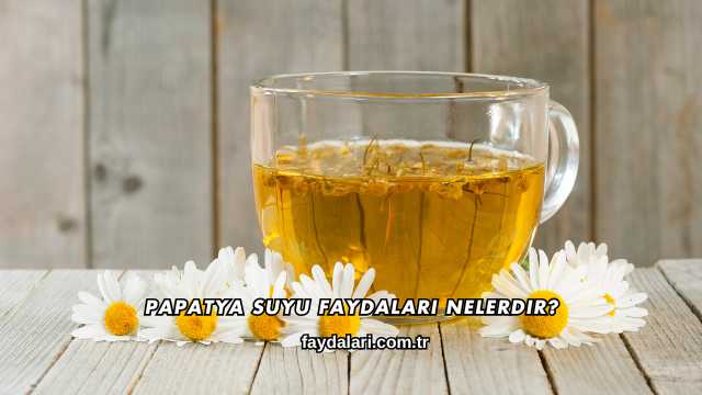 Papatya Suyu Faydaları Nelerdir?