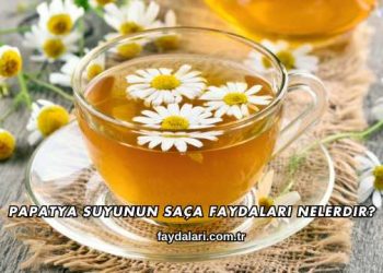 Papatya Suyunun Saça Faydaları Nelerdir?