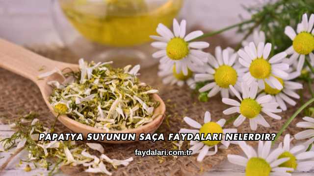 Papatya Suyunun Saça Faydaları Nelerdir?