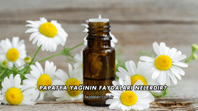 Papatya Yağının Faydaları Nelerdir?