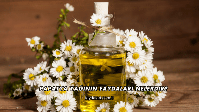 Papatya Yağının Faydaları Nelerdir?