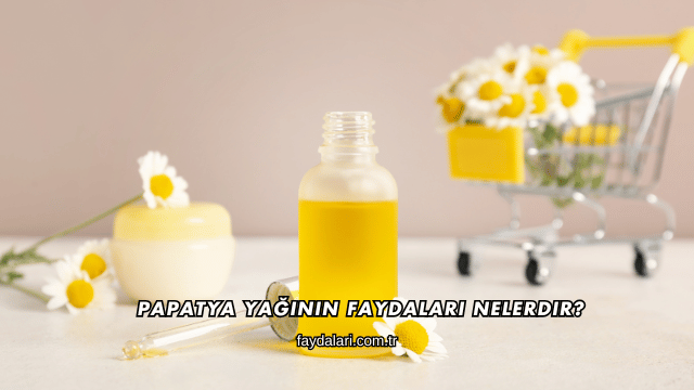 Papatya Yağının Faydaları Nelerdir?