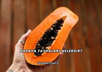 Papaya Faydaları Nelerdir?
