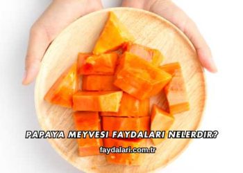 Papaya Meyvesi Faydaları Nelerdir?