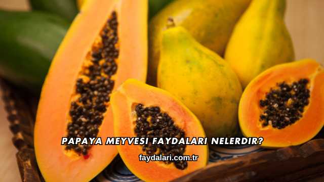 Papaya Meyvesi Faydaları Nelerdir?
