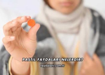 Pastil Faydaları Nelerdir?