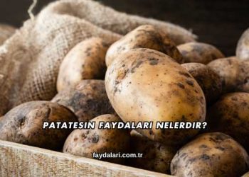 Patatesin Faydaları Nelerdir?