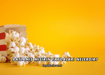 Patlamış Mısırın Faydaları Nelerdir?