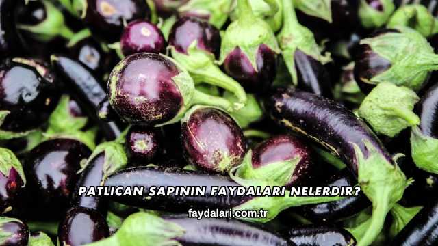 Patlıcan Sapının Faydaları Nelerdir?