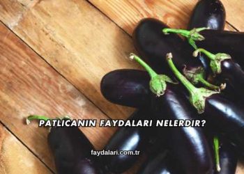 Patlıcanın Faydaları Nelerdir?