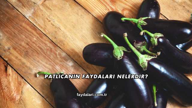 Patlıcanın Faydaları Nelerdir?