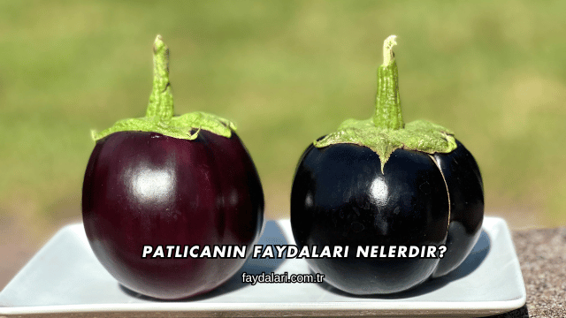 Patlıcanın Faydaları Nelerdir?