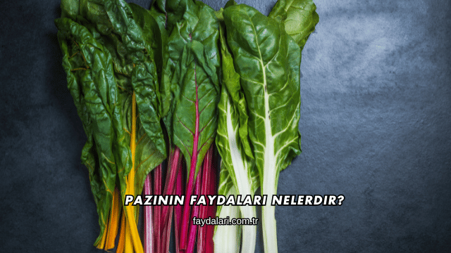 Pazının Faydaları Nelerdir?