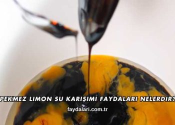 Pekmez Limon Su Karışımı Faydaları Nelerdir?