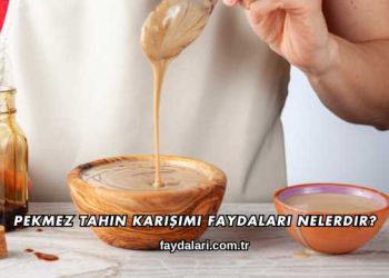 Pekmez Zeytinyağı Limon Karışımı Faydaları Nelerdir?