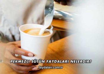 Pekmezli Sütün Faydaları Nelerdir?