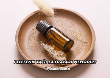 Pelesenk Yağı Faydaları Nelerdir?