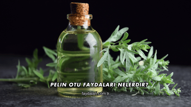 Pelin Otu Faydaları Nelerdir?