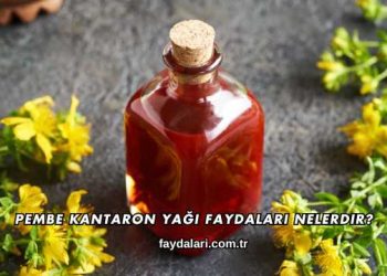 Pembe Kantaron Yağı Faydaları Nelerdir?