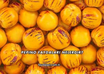 Pepino Faydaları Nelerdir?