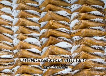 Pestilin Faydaları Nelerdir?