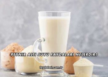 Peynir Altı Suyu Faydaları Nelerdir?