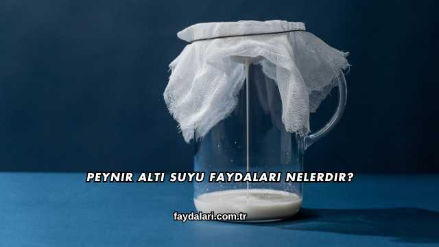 Peynir Altı Suyu Faydaları Nelerdir?