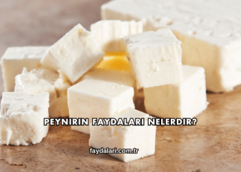 Peynirin Faydaları Nelerdir?