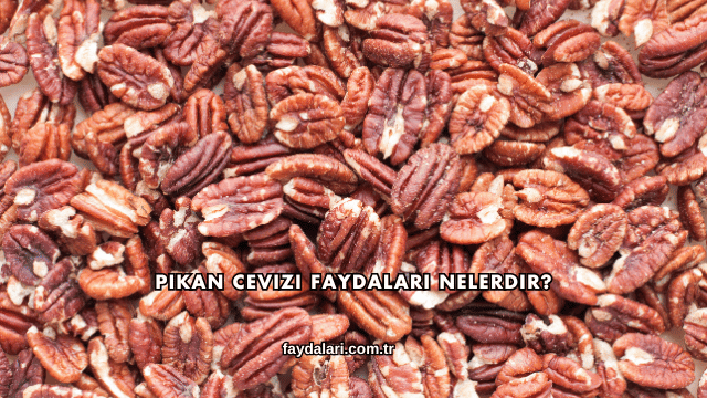 Pikan Cevizi Faydaları Nelerdir?