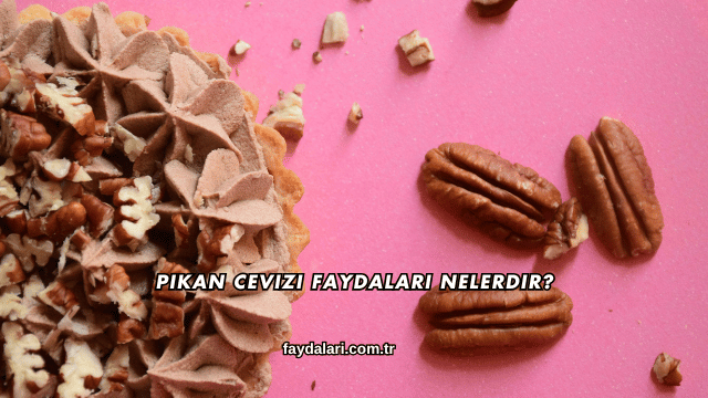 Pikan Cevizi Faydaları Nelerdir?