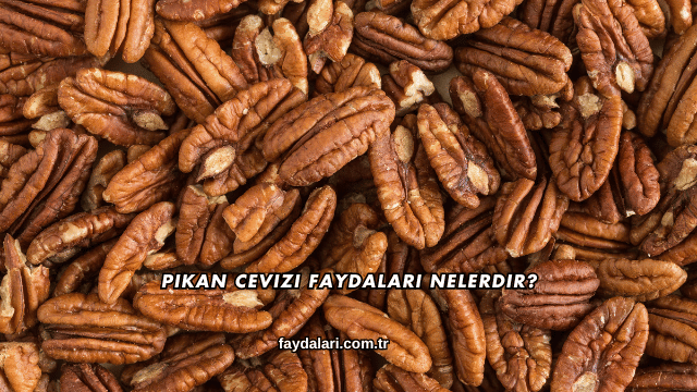 Pikan Cevizi Faydaları Nelerdir?