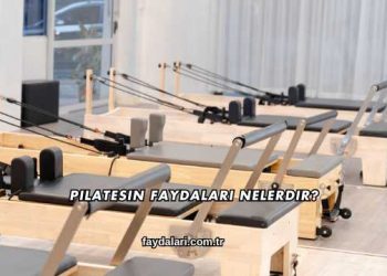 Pilatesin Faydaları Nelerdir?