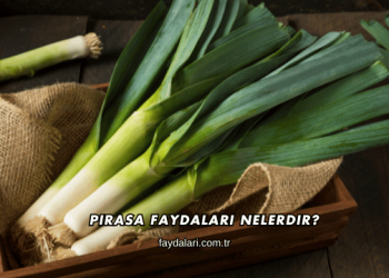 Pırasa Faydaları Nelerdir?