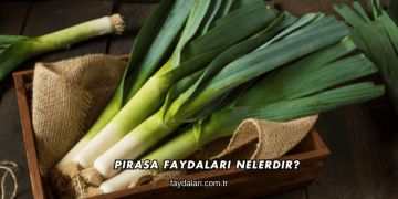 Pırasa Faydaları Nelerdir?